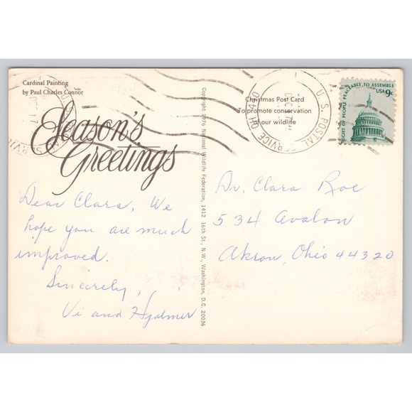 Vintage Cardinal Bird Christmas Postcard Season's Greetings Paul Charles Connor - Picture 2 of 2